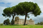 Paestum tour temple.jpg
